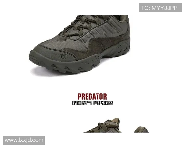 西安攀岩队整体压制战术分析与实战应用探讨